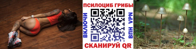 Псилоцибиновые грибы Psilocybine cubensis  Светлый 